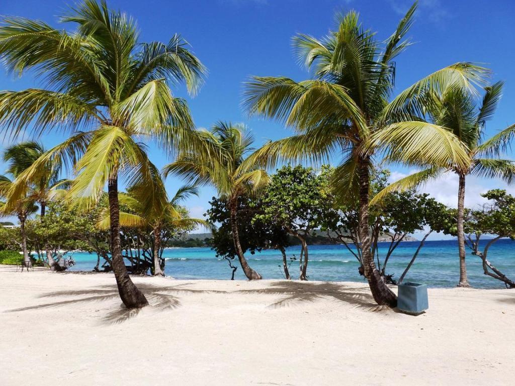 Sapphire Beach Resort And Marina East End  Luaran gambar